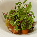 エヴォリュエ - 白人参のムース 信州サーモンとイクラ 人参パリジャン 甲殻類のジュレ