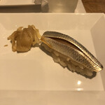 麹町いづみや しろ - 小肌 佐賀