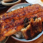 かぶと - うな丼