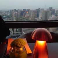 ザ タヴァン グリル＆ラウンジ - 眺望