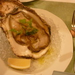 トラットリア・ラ・スピーガ - 岩牡蠣。特大です