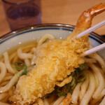 Udon Noshou Kanaizumi - 