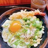 手打十段 うどんバカ一代
