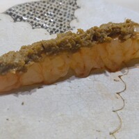 鮨 なんば 日比谷 - 