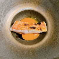 Potoro - 