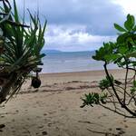 石垣の塩 - 裏の海