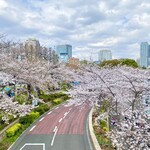 ザ・リッツ・カールトン東京 - 桜の中に見えるブルーグリーンは→