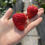 姫路ハートフル観光農園 - 