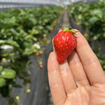 姫路ハートフル観光農園 - 