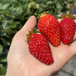 姫路ハートフル観光農園 - 