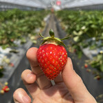 姫路ハートフル観光農園 - 