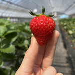 姫路ハートフル観光農園 - 