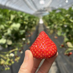 姫路ハートフル観光農園 - 