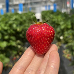 姫路ハートフル観光農園 - 