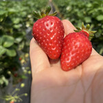 姫路ハートフル観光農園 - 