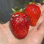 姫路ハートフル観光農園 - 