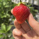 姫路ハートフル観光農園 - 