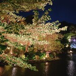 日本料理 みゆき - 庭園