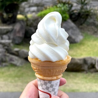 ブルーシール_1