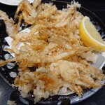 廻る富山湾 すし玉 - 