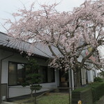 びんさん魚市鳥市 - 