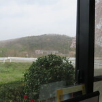 びんさん魚市鳥市 - 