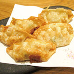 fried Gyoza / Dumpling