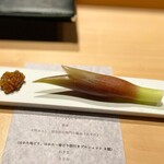 シブ ニシナカス - 