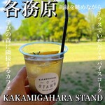 KAKAMIGAHARA STAND - 