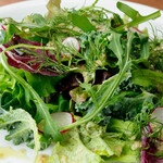 green salad with kale and herbs