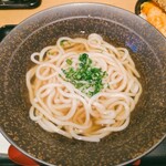 山下本気うどん - かけうどん