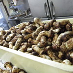 舞桜 - 形の良い松茸がゴロゴロと！