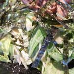 麺酒房 龍安 - さまざまな具材