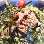 麺酒房 龍安 - 鶏