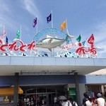 とれとれ市場 鮮魚コーナー - とれとれ市場