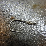 肝の中にあった釣り針