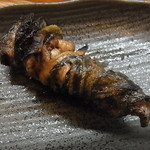 かぶと - 天然のヒレ