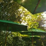 シェ松尾・松濤レストラン - 