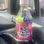 ローソンストア100 - 