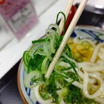 丸亀製麺 - 【2023.4.13(木)】かけうどん(並盛)390円の刻みネギ