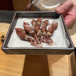 恵比寿 鮨 ふじまさ - 