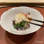 御料理 寺沢 - 屈み型の槍烏賊