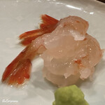 御料理 寺沢 - ボタン海老