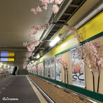 御料理 寺沢 - 北上駅 在来線地下通路