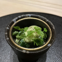 霜止出苗 - 