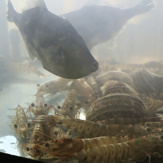 幸せ立ち呑み 夢ごりら_0