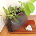 とんかつ桂 - カウンター隅のお飾り