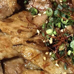 鉄板居酒屋 明香苑 - ネギと糸トウガラシ