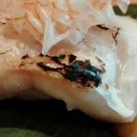 日本料理 かしづき - 