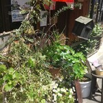 Obanzai Hakobera - 植木に埋もれてる店頭